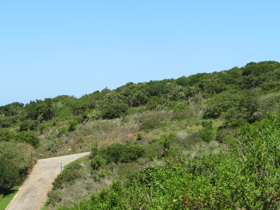 0 Bedroom Property for Sale in Riverview Water Front Estate Eastern Cape